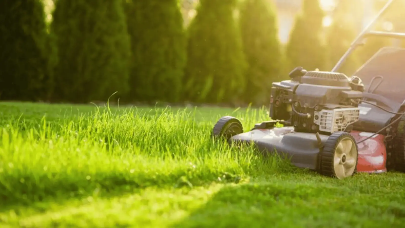 MDA Services — lawn care in Ellis Lane